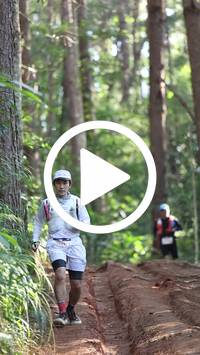 BIB:  <button type="button" onclick="openModal(26569748)" class="btn btn-primary btn-sm float-right" data-toggle="modal" data-target=".modal-high-quality">
                <i class="fa fa-download"></i> Download
                </button>